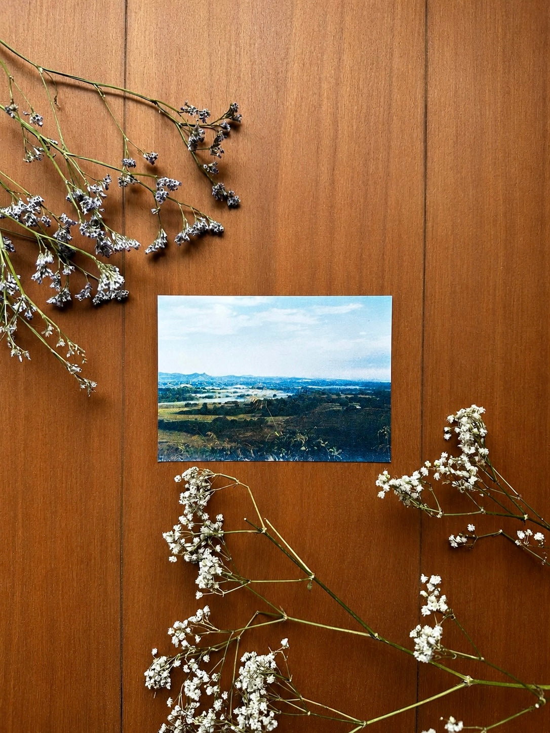 35mm Film Postcard Northern Rivers Lookout